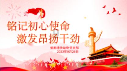 易币付链接游戏画面